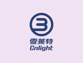 雪萊特(002076)產(chǎn)業(yè)并購(gòu)基